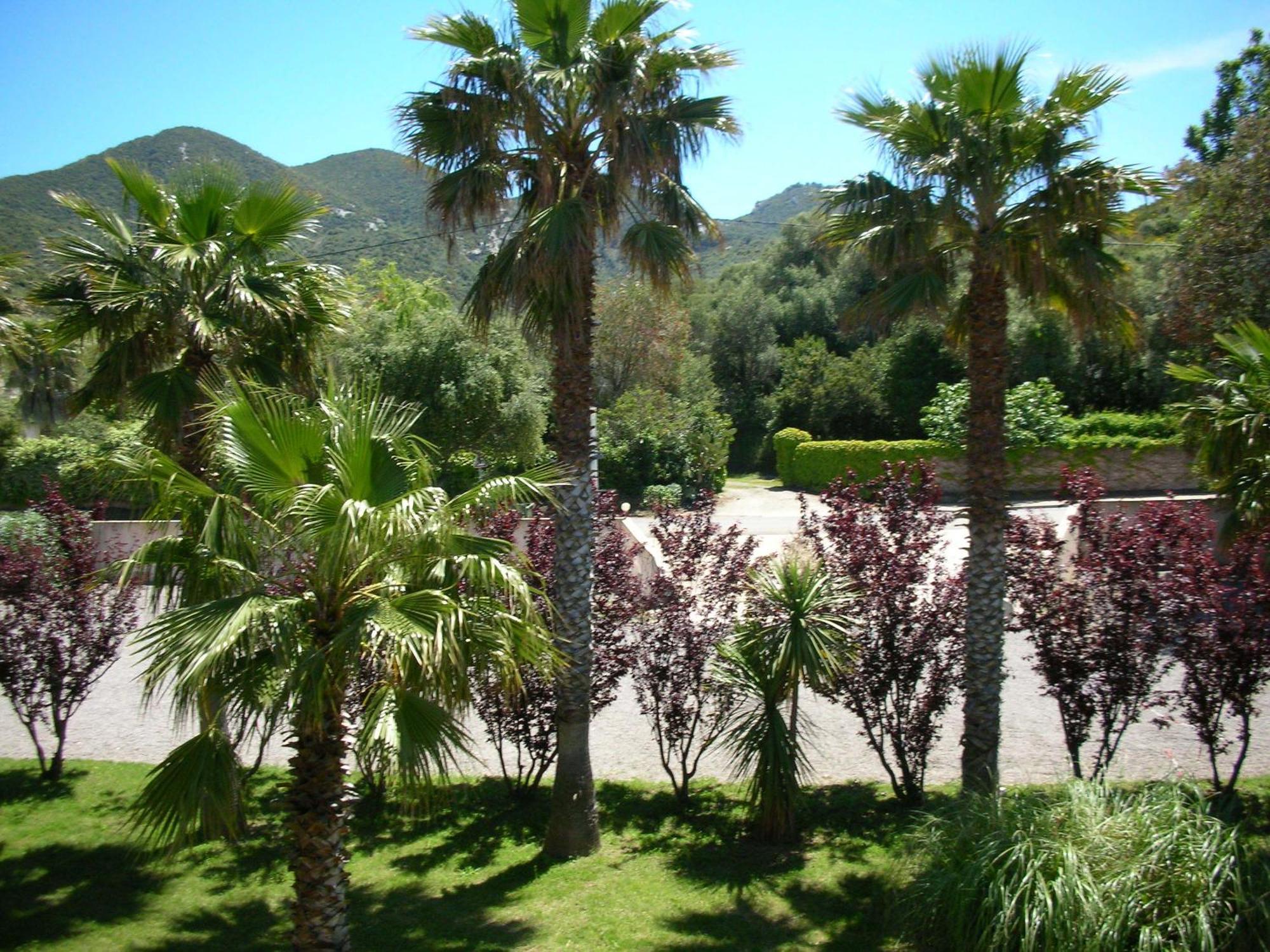 Hôtel Thalassa Saint-Florent  Extérieur photo